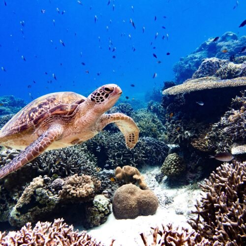 Private Full Day Trip