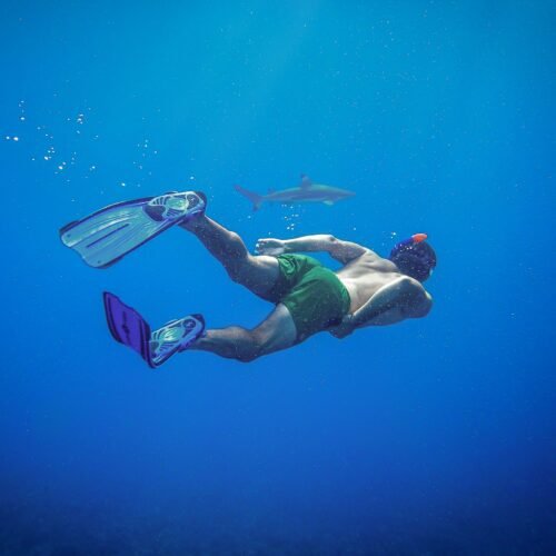 Full Day Group Snorkeling Trip